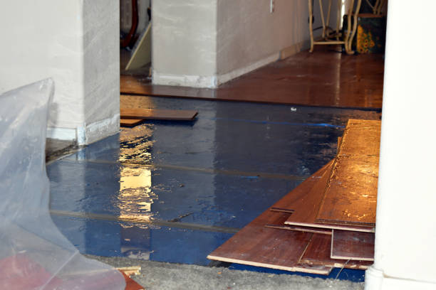 Professional Emergency Water Damage Restoration technician working in Hebron, NE